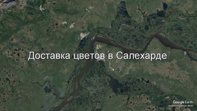 Доставка цветов в Салехарде - Заказ букетов от компании Скорая подарочная помощь смотреть онлайн
