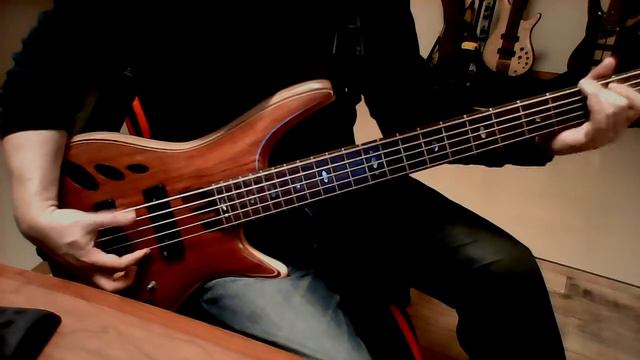 Candy Dulfer Ft Dave Stewart- Lily Was Here BassPlayalong