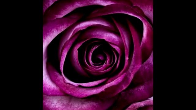 АКТИВАЦИЯ 12 МАГИЧЕСКИХ ЭФИРНЫХ КРИСТАЛЛА в Группе 5 ФОРМУЛА управления своей жизнью 2020 Программ смотреть онлайн