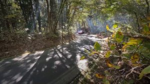 Юлия Савичева x kqeJo - Если в сердце живет любовь _ phonk rmx