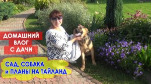 ТЕПЛЫЙ ДОМАШНИЙ ВЛОГ. Наша дача, собака, пруд и вкусная рыба. Планы на отдых в Тайланде.