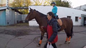 Урок верховой езды #3 / упражнения и езда на природе/ Конно-Спортивная база ЦСКА