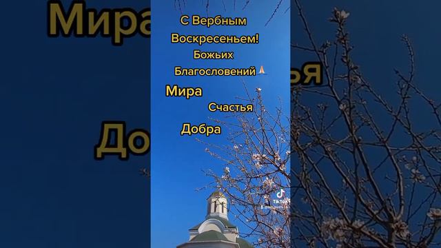 С Вербным Воскресеньем ! #вербноевоскресенье #пожелания смотреть онлайн