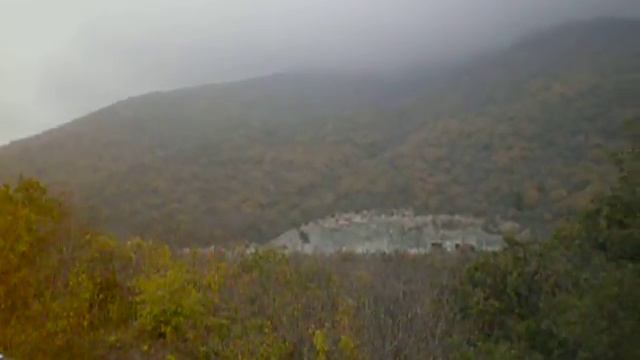 08 Велоупоротые - размышления во время лосячки смотреть онлайн