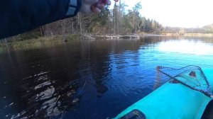 КАКИЕ КРУЖКИ ЛОВЯТ ЛУЧШЕ? ЩУКА НА ОГРУЖЕНЫЕ И НЕ ОГРУЖЕНЫЕ КРУЖКИ. Рыбалка на кружки.