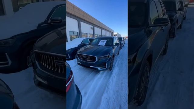 Осмотр, закупка и отправка автомобилей на таможне Хоргос смотреть онлайн