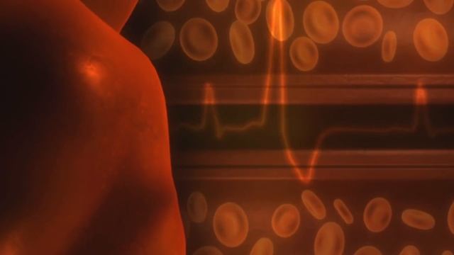 СКОЛЬКО ВЫ СТОИТЕ НА ЧЁРНОМ РЫНКЕ? смотреть онлайн