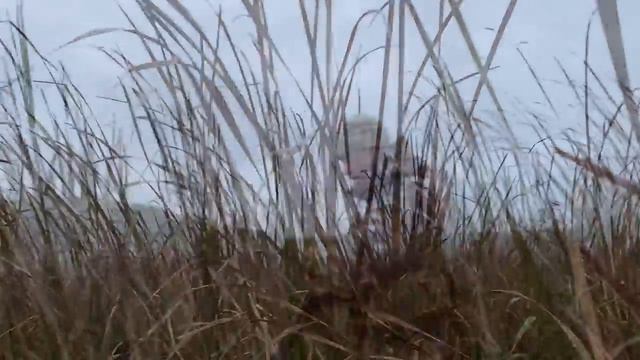 Охота на утку и поездка на заимку 23-26.09 смотреть онлайн