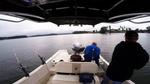 Rock Creek planer boards fishing live bait at Smith Mountain Lake VA.