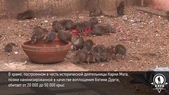 Пять самых страшных мест планеты !!! Некоторые доступны для туристов, а в другие вход воспрещён !!! смотреть онлайн