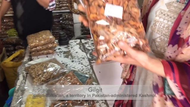 Stuck in Pakistan Part 4 - Enchanted by Gilgit's Flowering Apricot Trees Along The Old Silk Road смотреть онлайн