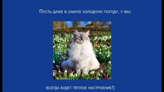 Если вам испортили настроение... смотреть онлайн