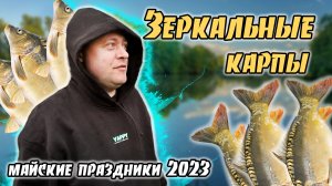 Клев КАРПА май 2023