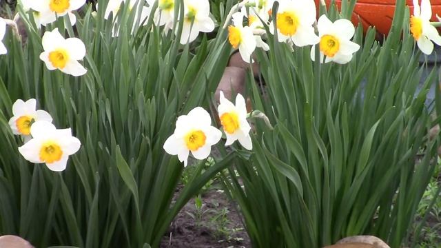 CANON LEGRIA HF R806 test video смотреть онлайн