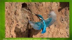 4 художника. Весна