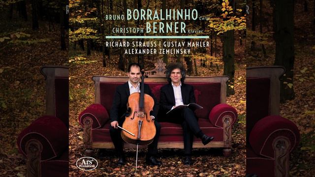 Cello Sonata in A Minor: III. Allegretto смотреть онлайн