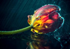 Добрый вечер ! Желаю доброго вечера! Открытка с добрым вечером?