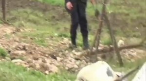 Личности взорвавшихся в Сиртыче боевиков выяснит анализ ДНК