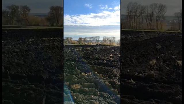 Трактор Болгар Т-54В на самодельном ходовой  вспашка огородов