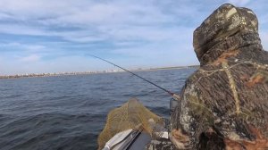 Ловля окуня на дроп шот на Шершнях