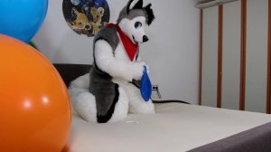 Inflate and Play ? with Big Furry Print ? Balloons - Skeppo -