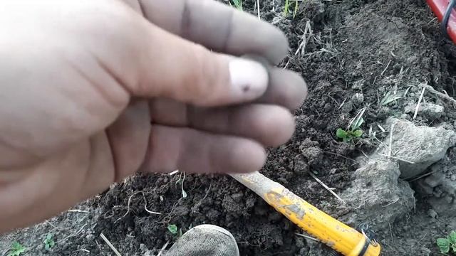 КОП ЗА ЧАС, ИСЧЕЗНУВШЕЕ СЕЛЕНИЕ, МЕСТО ГДЕ РАНЬШЕ ЛЮД ЖИЛ, ЧАСТЬ 1 смотреть онлайн