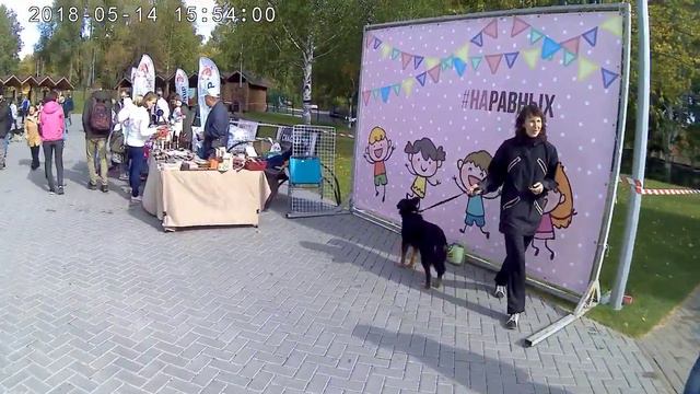 Фан-зона в парке им.Кирова. Прошедний"собачий" фестиваль. Обзор, как это было.г. Ижевск смотреть онлайн