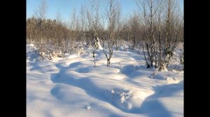 Где искать зайца русака весь сезон. Особенности и повадки.
