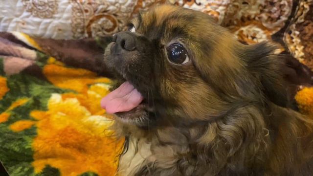 Заехали в магазин электроники и купили колонки смотреть онлайн