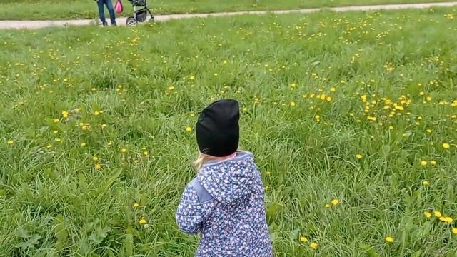 Цены на бензин в Санкт-Петербурге/Гуляем/Релакс/Качели смотреть онлайн