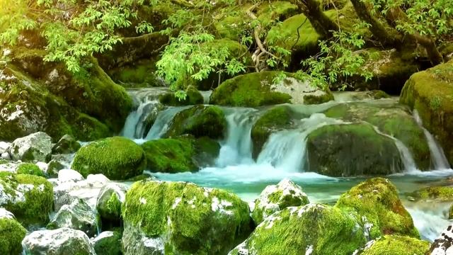 Успокаивающая музыка для нервной системы смотреть онлайн