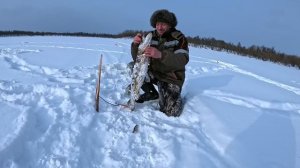 Рыбалка на щуку в отличной компании