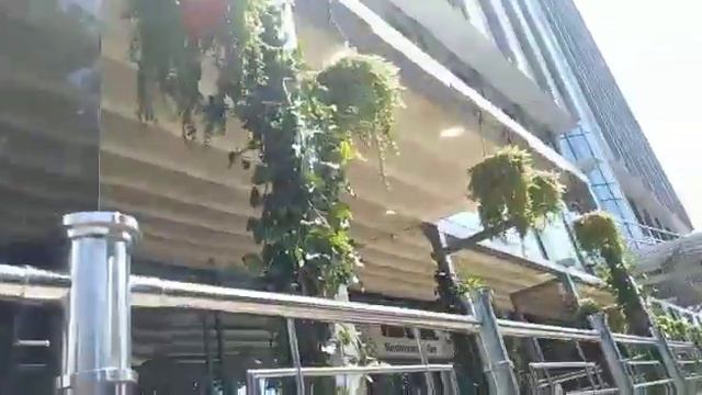 Краснодарские зарисовки: цветы, кафе, отели! смотреть онлайн