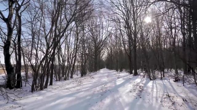Супруг попросил разрешения ходить налево и возмутился, когда я предложила развод смотреть онлайн