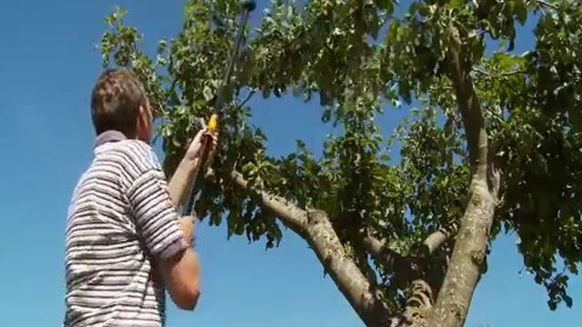 Fiskars Garden Telescopic Universal Cutter Pruner Anvil UP86 смотреть онлайн