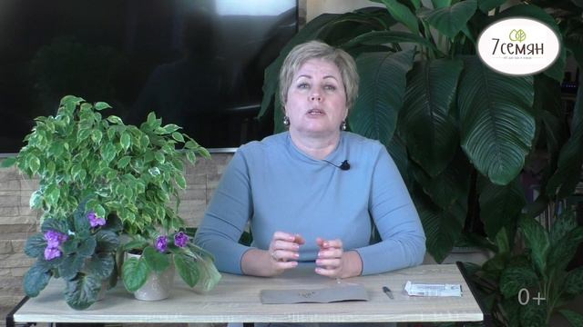 ЭТО МОЖЕТ БЫТЬ ВАЖНО! НЕ ЗАБУДЬТЕ О СКАРИФИКАЦИИ СЕМЯН! смотреть онлайн