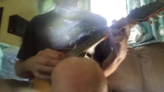 "Foreverdark Woods" Intro on Mandolin смотреть онлайн