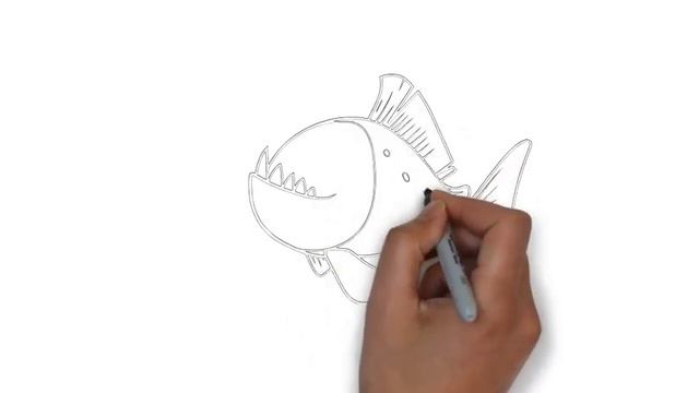 как нарисовать пиранью,how To Draw A Piranha,cómo Dibujar Una Piraña,come Disegnare Un Piranha