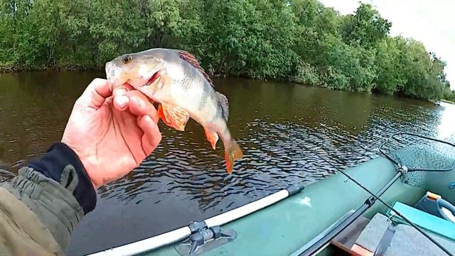 День в дельте Северной Двины..1.07.2019...рыбалка на джиг...Архангельск... смотреть онлайн