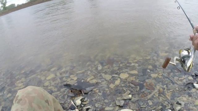 Весенний Жерех. ЛОВИМ!!! смотреть онлайн