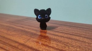 Котики и Собачки