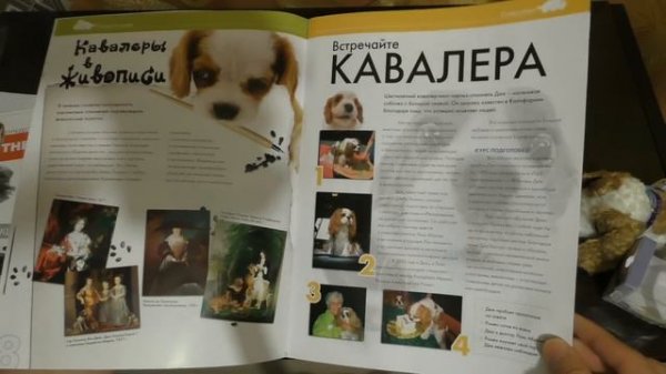 Обзор журнала The Dog Collection (Выпуск №1)
