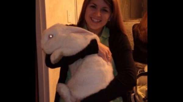 Strange Animal Pics - Version 2 - Scary Animal Photos - Giant Versions of Animals