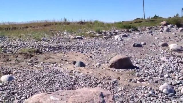 Погранзастава 2 (Таллин) смотреть онлайн