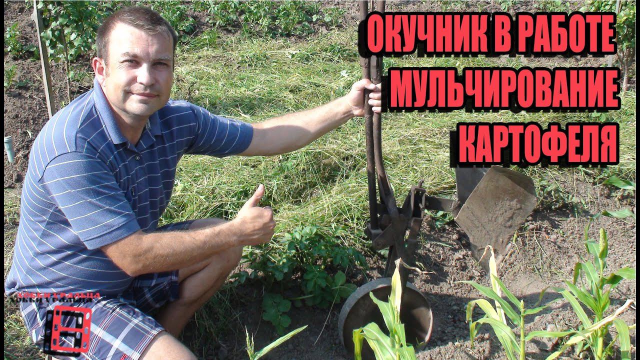 ОКУЧИВАЕМ ПРОСТО С ПОМОЩЬЮ ОКУЧНИКА. МУЛЬЧИРОВАНИЕ КАРТОФЕЛЯ. СЕКРЕТЫ ВЫРАЩИВАНИЯ КАРТОФЕЛЯ 3. САД смотреть онлайн