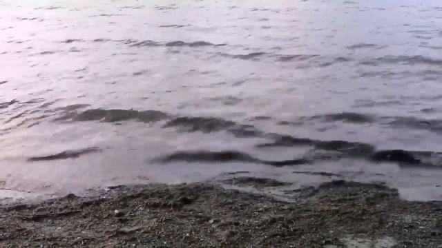 Летнее море 2 смотреть онлайн