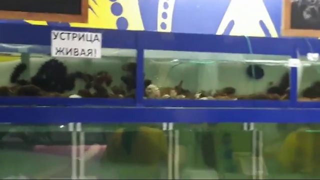 Владивосток. Рыбный рынок на 2-й речке. смотреть онлайн