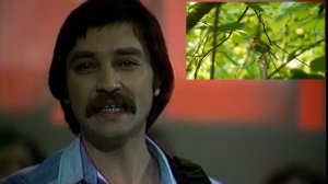 Верасы  Малиновка  Песни нашей молодости