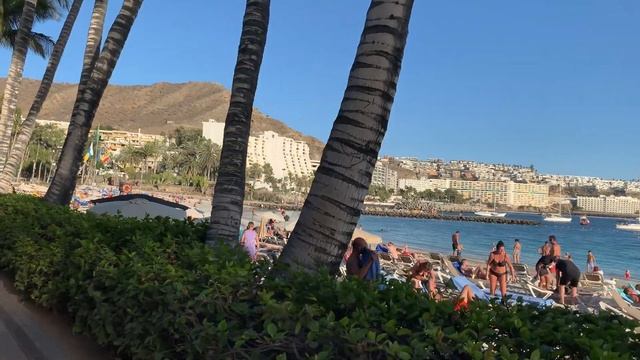 Gran Canaria Playa Del Ingles ?Maspalomas ?Beach Walk  ?