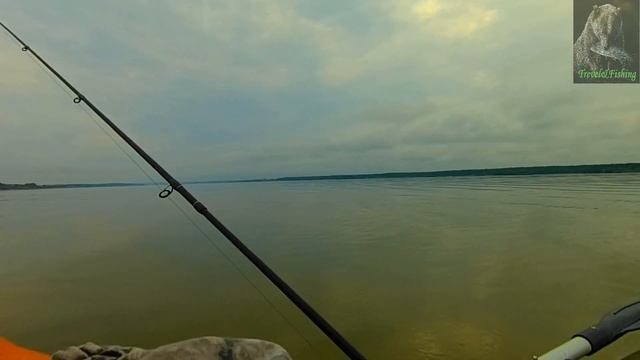 Разведка боем в Спирино перед рыболовным фестивалем ''Золотая осень 2019" Часть 1 смотреть онлайн